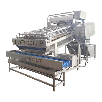 Máquina para pelar la piel de camarón de 300 kg/h con sistema de limpieza de última generación