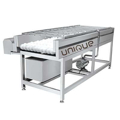 Máquina de lavado con cepillo de limpieza de vegetales de raíz comercial con acero inoxidable 304