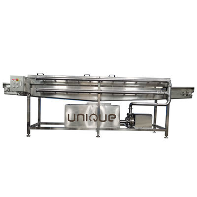 450 KG de cebolla verde puerco máquina de limpieza de lavado de alta presión a precio asequible