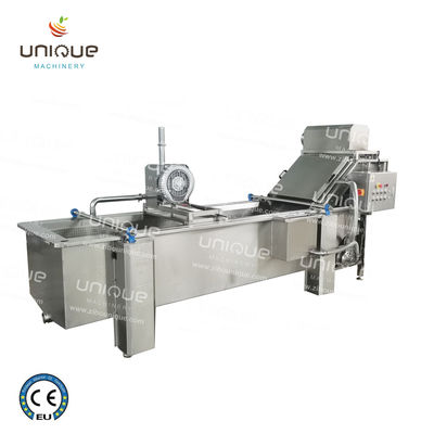 850 KG Línea de lavado de burbujas de hojas de vegetales para la producción de plantas manufactureras