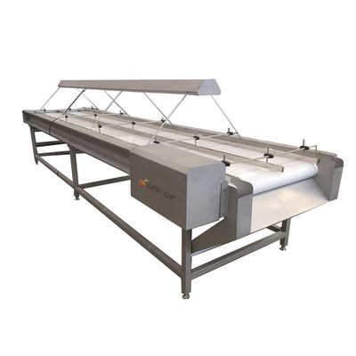 Cinturón transportador de selección de nuez de acero inoxidable 304 de 220v/380v para la máquina de clasificación de pasas