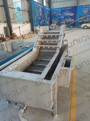 Máquina de lavado de burbujas de frutas y verduras industriales para limón Ananas Fruta de pasión