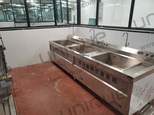 Máquina de lavado de frutas y verduras de acero inoxidable con ozono para 200-400 kg/h Capacidad