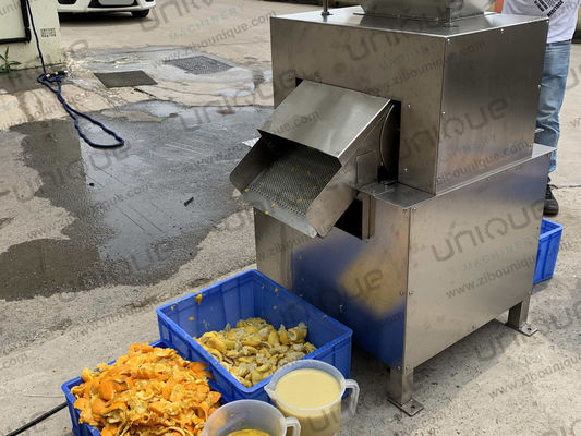 Pulpa de frutas Pulpa de mango Jugo de la máquina de hacer jugo de la máquina de procesamiento