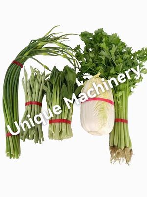 Fácil de operar Máquina de unión de bandas de inducción automática para la unión de alimentos y vegetales