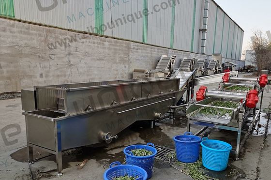 Diseño Máquina de lavado de burbujas de alfalfa / micro verduras para tiendas de alimentos y bebidas