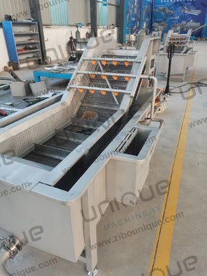 304 acero inoxidable burbuja de aire lechuga tomate fresa de hoja de fresa limpiador de frutas