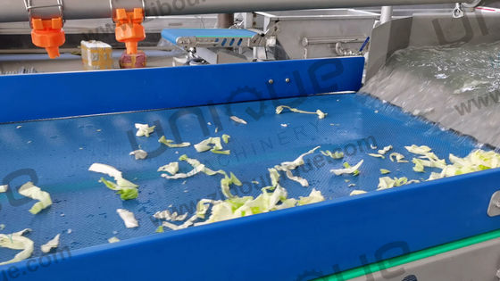 Máquina de lavado industrial de frutas y verduras de acero inoxidable