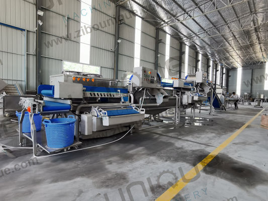 Procesamiento de ensalada hecha fácil máquina de lavado de verduras para bebés espinacas lechuga repollo