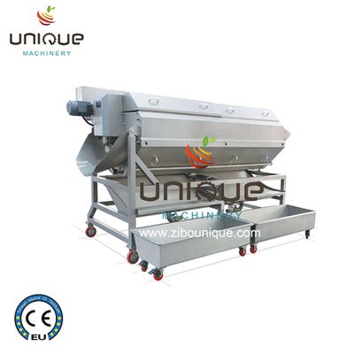 Línea de procesamiento de patata de acero inoxidable 304 personalizable para la producción a gran escala