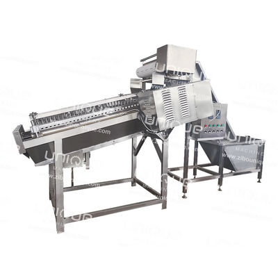 Máquina para pelar la piel de camarón de 300 kg/h con sistema de limpieza de última generación