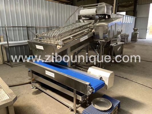 300 kg/h Máquina para pelar camarones Máquina de limpieza de solución para pelar camarones