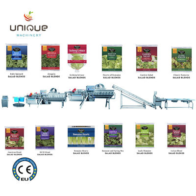 Línea de procesamiento de lavado Helix de frutas y verduras para aplicaciones comerciales