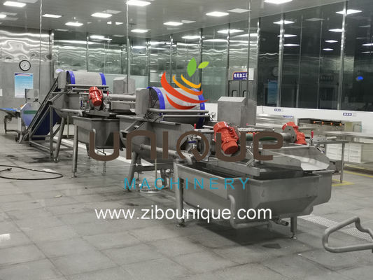 Uso comercial Línea de lavado de té verde para el procesamiento de hojas de té de Myanmar desde Zibounique