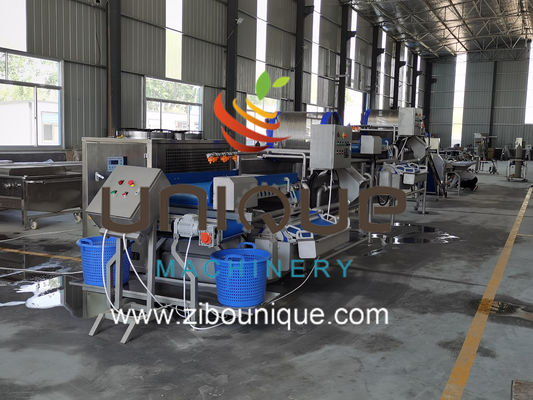 Uso comercial Línea de lavado de té verde para el procesamiento de hojas de té de Myanmar desde Zibounique