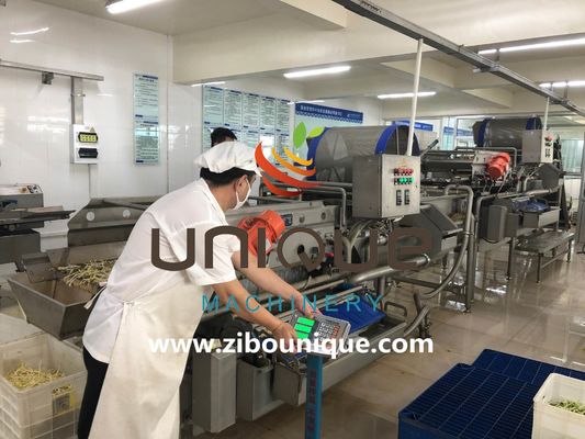 Uso comercial Línea de lavado de té verde para el procesamiento de hojas de té de Myanmar desde Zibounique