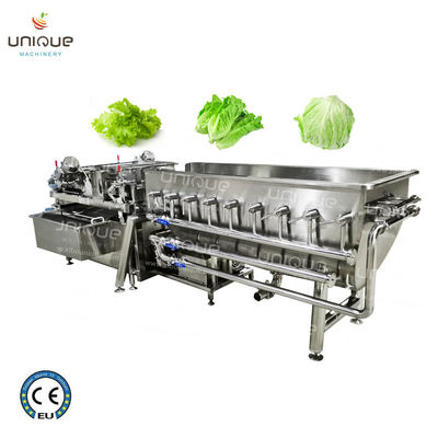 Línea de procesamiento de lavado Helix de frutas y verduras para aplicaciones comerciales
