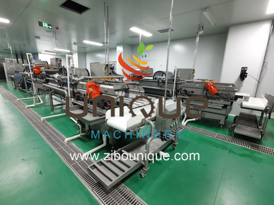 Línea de lavado de ensalada de frutas y verduras con eficiencia de procesamiento de 5000 KG