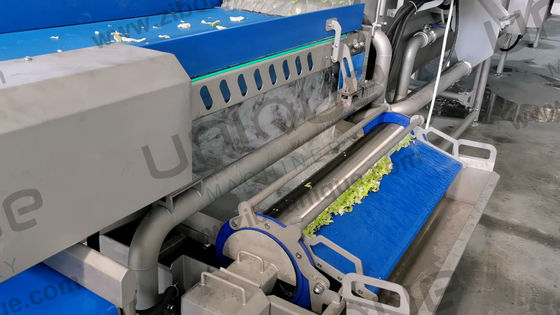 Máquina de lavado industrial de frutas y verduras de acero inoxidable