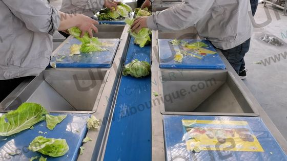Mesa de transporte y recogida de verduras de acero inoxidable versátil para hoteles 220v/380v