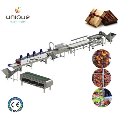 Máquina de limpieza de fechas de tensión personalizada para lavar ciruelas y productos frescos