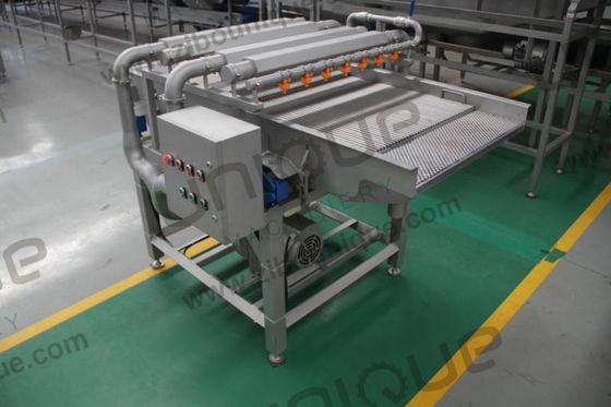 Máquina de pulido de dátiles por vibración para dátiles de palma en la producción automática industrial