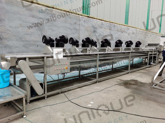 Acero inoxidable 304 de limpieza de palma de manzana, peras, fechas, ciruelas, proceso de lavado