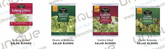 Máquina de lavado para limpieza a fondo de verduras y frutas