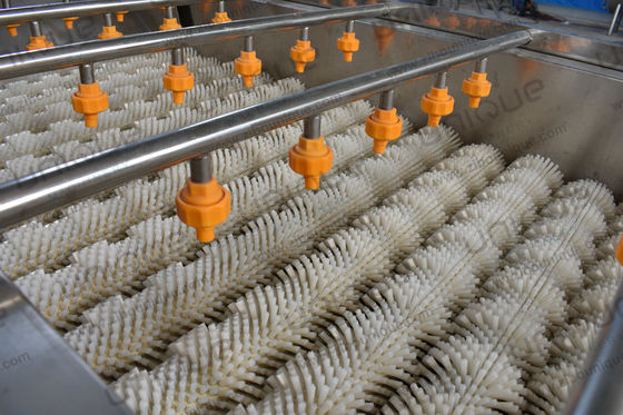 Lavadora de frutas y hortalizas de brocha espiral continua con equipo de limpieza