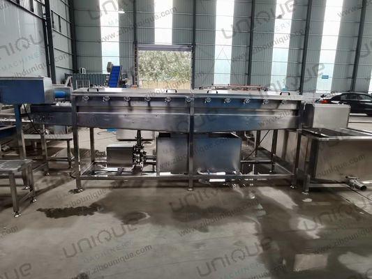 450 KG de cebolla verde puerco máquina de limpieza de lavado de alta presión a precio asequible