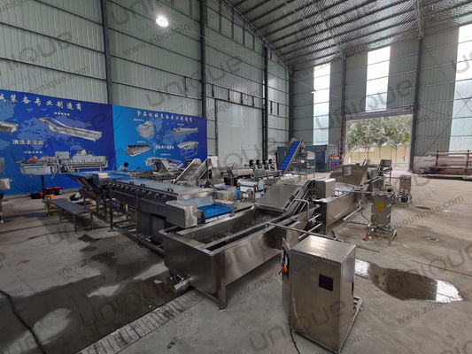 450 KG de cebolla verde puerco máquina de limpieza de lavado de alta presión a precio asequible