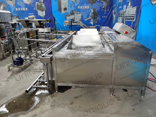 2021 Arenisca Automática Corte Lechuga Ensalada Corte de Hojas Cortar Cortar Cortar Vegetales Frutas Lavadora