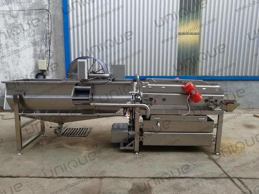 220v/ 380v/ Máquina de lavado con hélice de ensalada personalizada para granjas