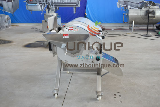 Apto para empresas de procesamiento de alimentos Chips de patata y papas fritas máquina de corte