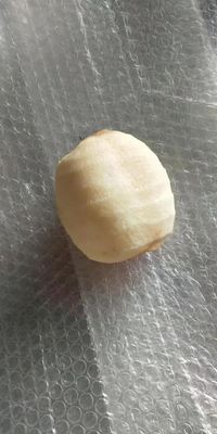 500 KG Máquina totalmente automática para pelar y descascar frutas industriales de manzana y pera de kiwi para 2022