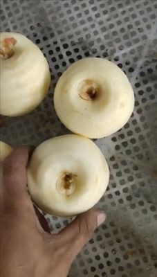 500 KG Máquina totalmente automática para pelar y descascar frutas industriales de manzana y pera de kiwi para 2022