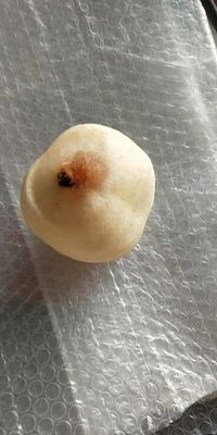 500 KG Máquina totalmente automática para pelar y descascar frutas industriales de manzana y pera de kiwi para 2022