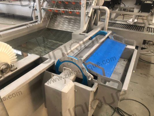 304 acero inoxidable burbuja de aire lechuga tomate fresa de hoja de fresa limpiador de frutas