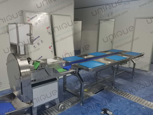 2.25 kw Cortador de verduras multifuncional para cortar verduras de hoja en cinta transportadora