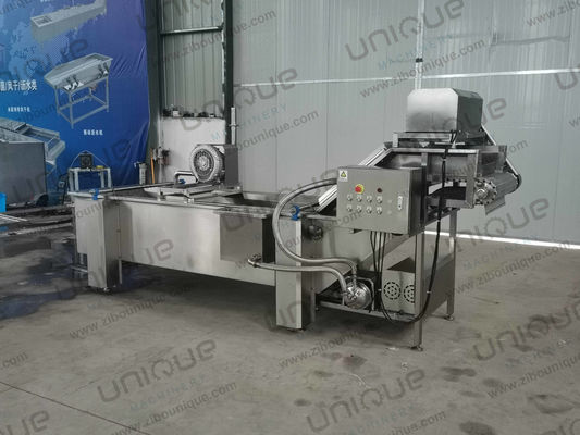 850 KG Línea de lavado de burbujas de hojas de vegetales para la producción de plantas manufactureras