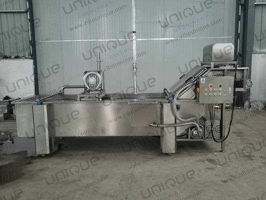 850 KG Línea de lavado de burbujas de hojas de vegetales para la producción de plantas manufactureras