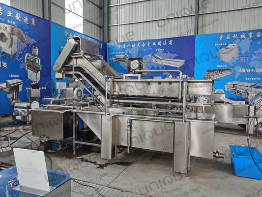 850 KG Línea de lavado de burbujas de hojas de vegetales para la producción de plantas manufactureras