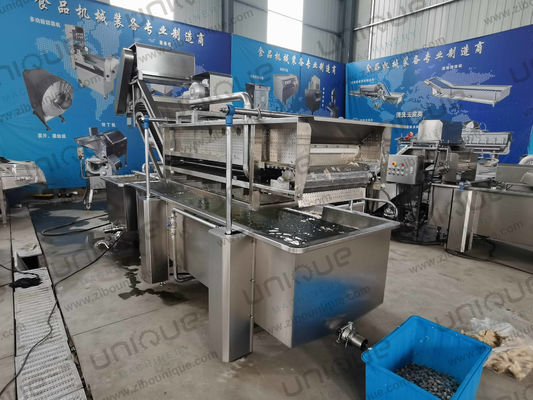 850 KG Línea de lavado de burbujas de hojas de vegetales para la producción de plantas manufactureras