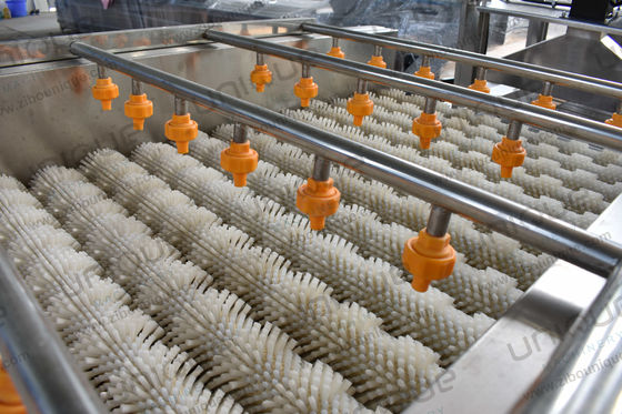 2.25 kw Lavadora con cepillo de hortalizas de ostras para lavado a gran escala de ñame y malanga