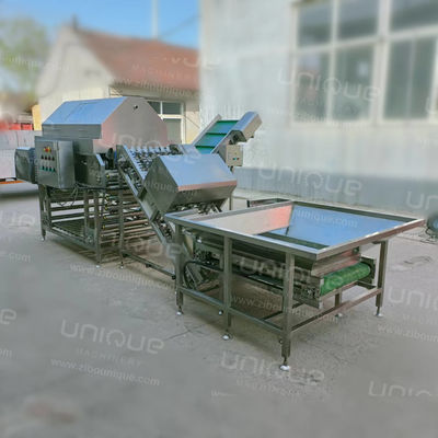 Máquina industrial para pelar cebollas de acero inoxidable 304 con 3 kW de potencia y 380V de voltaje