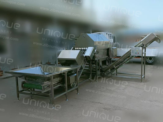 Máquina industrial para pelar cebollas de acero inoxidable 304 con 3 kW de potencia y 380V de voltaje