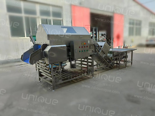 Máquina industrial para pelar cebollas de acero inoxidable 304 con 3 kW de potencia y 380V de voltaje