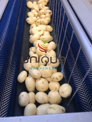 1.75 kw Fácil de operar Ginger Carrot Potato Brush Roller Washer Root Lavadora de verduras