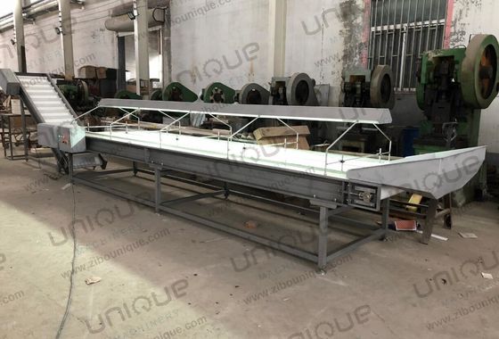 Conveyor de inspección de nueces de ciruela y dátiles de palma hecho de acero inoxidable 304 para su beneficio