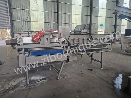 Máquina de lavado de repollo de acero inoxidable de 4,4 kW para esterilización de verduras y ensaladas